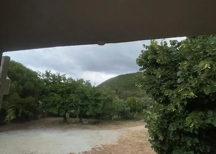 Lägenhet T3 A 100m De La Plage, Au Calme, Saint-florent *