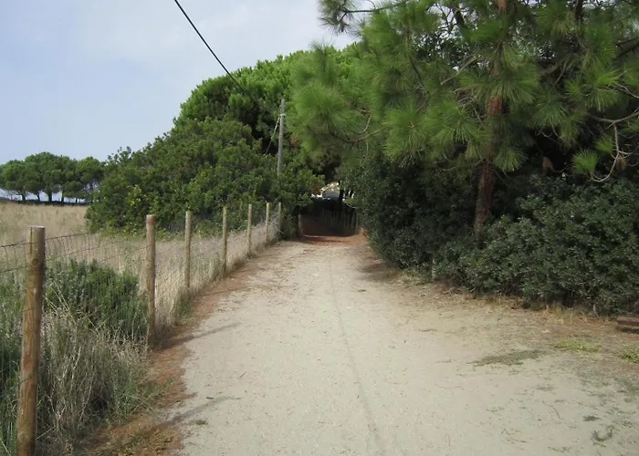 Lägenhet T3 A 100m De La Plage, Au Calme, Saint-florent