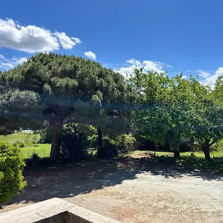T3 A 100m De La Plage, Au Calme, Climatise, Wifi, Saint-florent